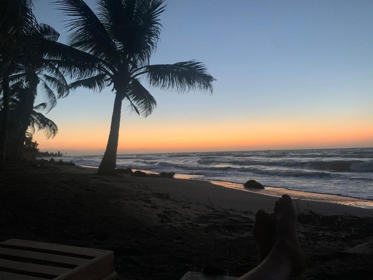 Playa Jaguar - Beach Club Monitos Ngoại thất bức ảnh