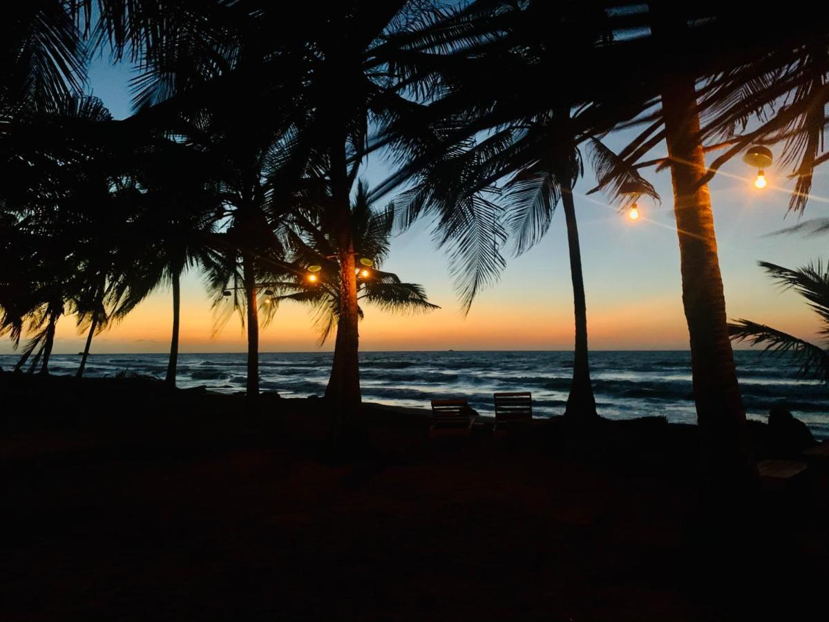 Playa Jaguar - Beach Club Monitos Ngoại thất bức ảnh
